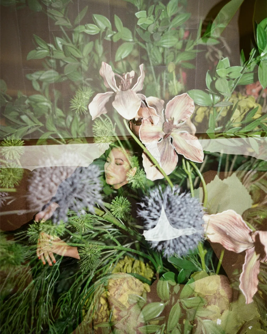 A double-exposure photo of orchids, thistles and green leaves with a woman’s face faintly visible among them